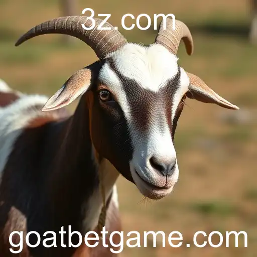 O Impacto das Apostas Esportivas no Brasil